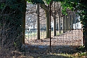 S. Damiano d'Asti_085